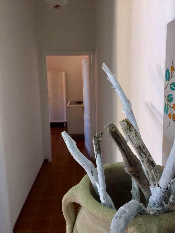 Casa Lividonia Lejlighed Porto Santo Stefano  Eksteriør billede